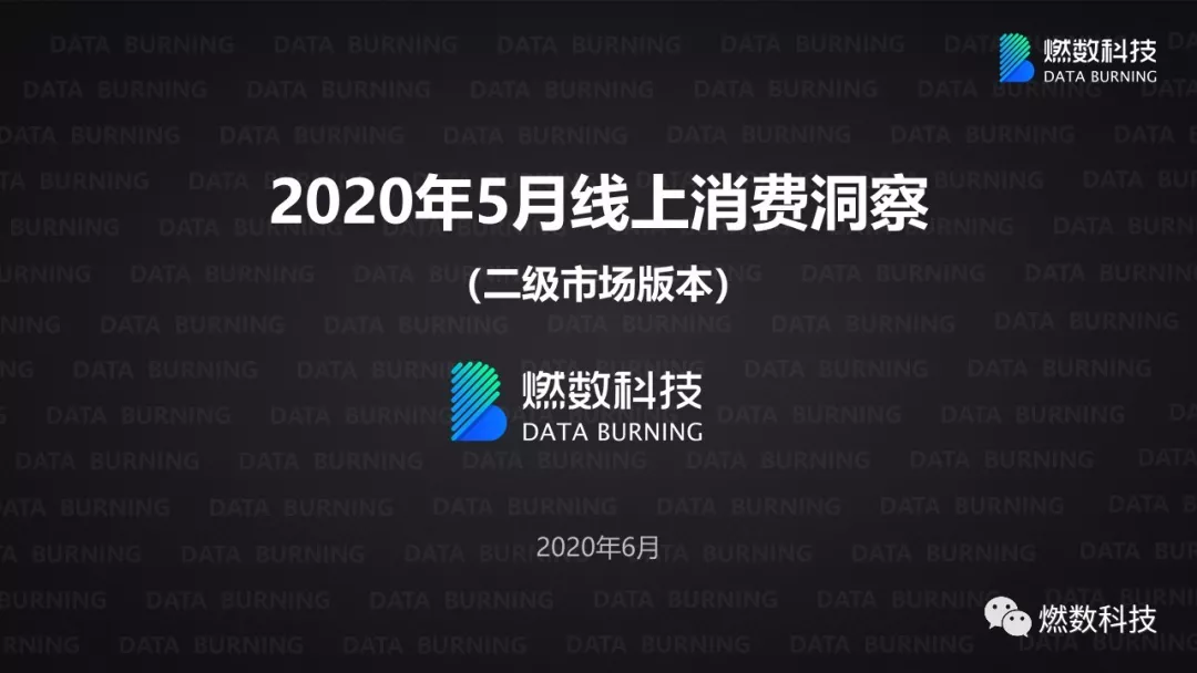 燃数科技 新经济洞察引擎