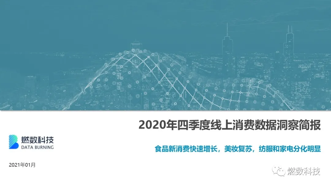 燃数科技 2020年四季度线上消费数据洞察简报