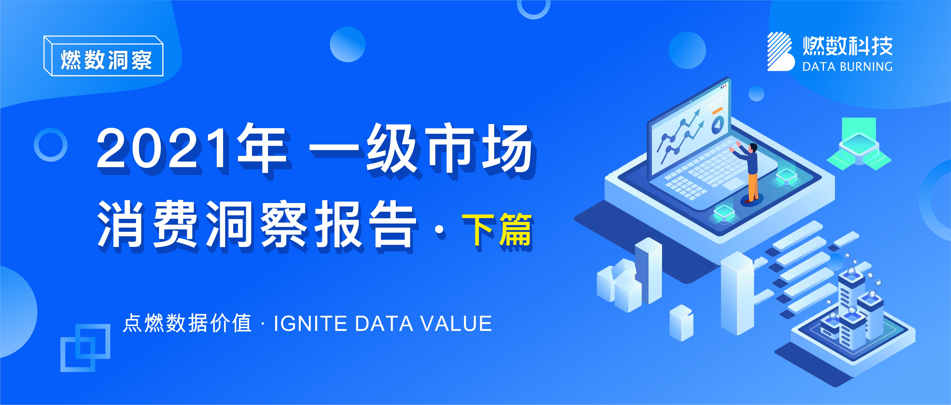 燃数科技 新经济洞察引擎